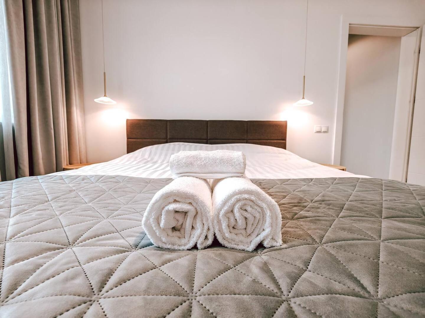 Luxury Haven By Iulius Mall Parking, Netflix * Cluj-Napoca